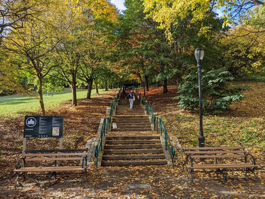 Ewen Park